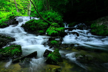 Obraz premium Wodospad Koguro latem