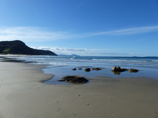 coast  beach in new zealand