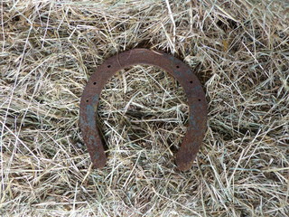  Horseshoe