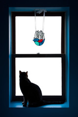 Raindrop Glass Bird Cat Window