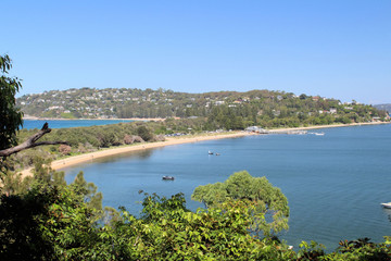 Obraz premium Palm Beach Blue Ocean Waves Australia