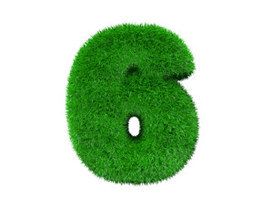 Nature concept - number 6 made of green grass isolated on white background - 3D illustration of symbols