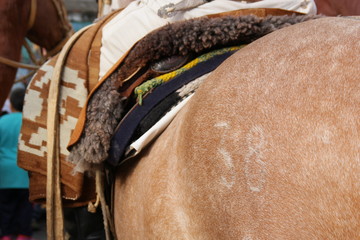 Horse ride