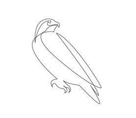 continuous line drawing of falcon bird