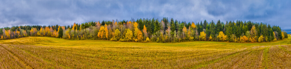 Beautiful Fall Landscape with Wavy Colorful Fields Under rainy Grey Skies.