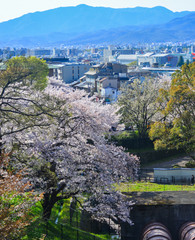 Fototapeta premium Cityscape of Kyoto, Japan