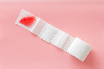 Proctology concept with toilet paper roll and red feather on pink background top view