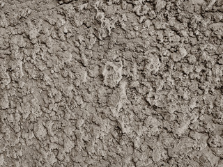 Gray grunge  stucco wall background texture