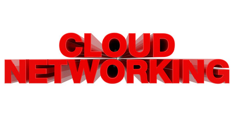 CLOUD NETWORKING word on white background 3d rendering
