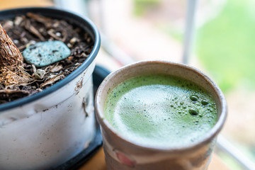 Cup filled with Japanese vibrant green tea color matcha foam and potted plant with dirt by window in morning
