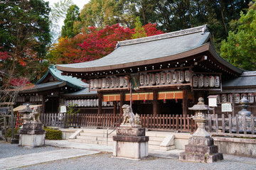 Obraz premium 京都 熊野若王子神社の紅葉