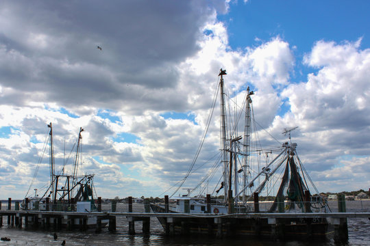 Shrimp Boats Docked at Mayport Village, Florida
