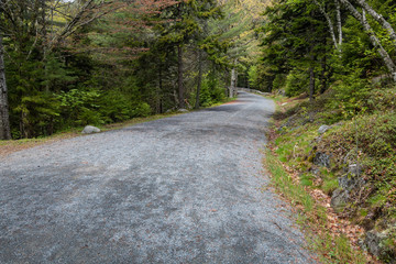 Rock Road in Acadia National Park in Maine