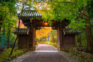 京都　赤山禅院の紅葉　
