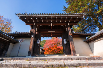 京都　実相院の紅葉