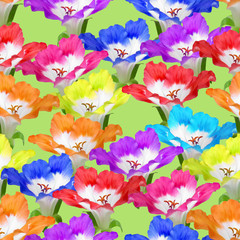 Obraz na płótnie Canvas Geranium, pelargonium. Seamless pattern texture of flowers. Floral background, photo collage