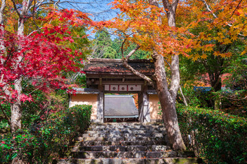 京都大原　寂光院の紅葉