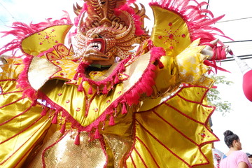 2018.02.17 the carnival in the Dominican Republic, La vega city, Man in the suit of the monster of...