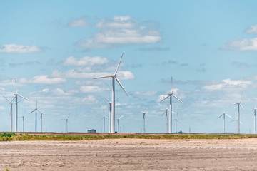 Wind turbine farm near Roscoe Sweetwater Texas in USA in prairie with rows of many machines for energy