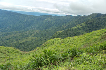 Fototapeta premium Mountain scenery, Phu Thap Boek name Scenery of grasslands and forests in national parks, Thailand