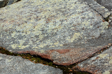 Glacial striations in gneiss at summit of Mt. Kearsarge.