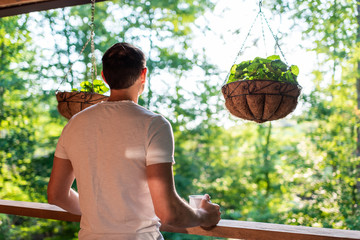 Hanging potted plants with violet flower leaves in spring with man standing on porch of house in morning wooden cabin cottage
