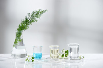 laboratory glass equipment with natural ingredients on white background