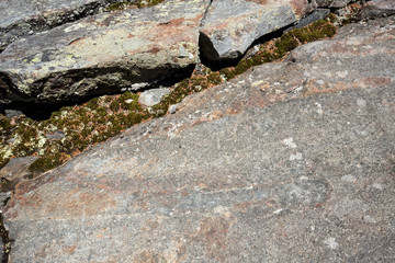 Glacial grooves in gneiss at summit of Mt. Kearsarge.