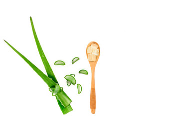 Top view ,Aloe Vera leaves and sliced with gel on wooden spoon isolated on white background. 