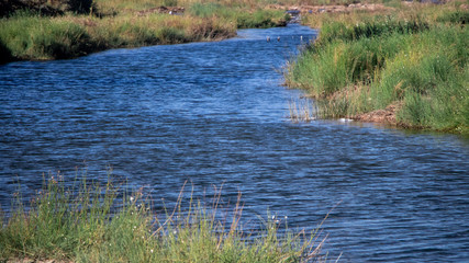río Loa en la ciudad de Calama