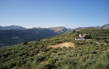 Fototapeta na wymiar Greek countryside bird's-eye view from drone. Church on hill surrounded by olive groves.