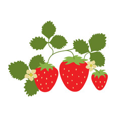 Strawberry on a branch with leaves and a flowers. Vector berry. Natural healthy food. Hand drawn fruit. Vegan menu. Vegetarianism