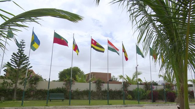 Textil flags of West African countries floating in the wind between palm trees.