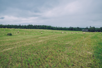 Obraz premium City Cesis, Latvia Republic. Overcast day, meadow hay rolls and trees around. July 7. 2019 Travel photo.
