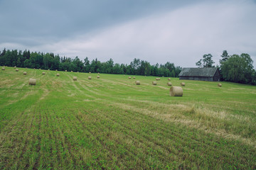 City Cesis, Latvia Republic. Overcast day, meadow hay rolls and trees around. July 7. 2019 Travel photo.