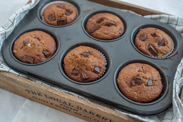 home made chocolate chip muffins in a muffin tray