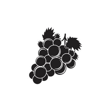 grape fruit illustrations for drawing symbol logo silhouette