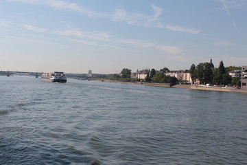 Rhine river near Mainz