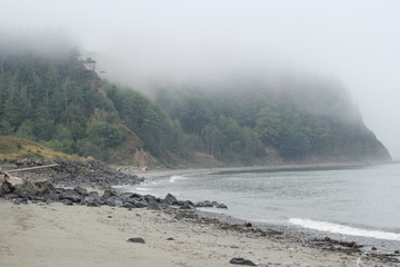 Foggy beach