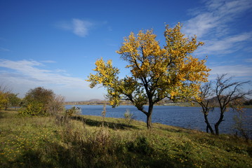 Beautiful landscape. Autumn forest river landscape view. Autumn forest river landscape view.  The nature of Ukraine. Beauty