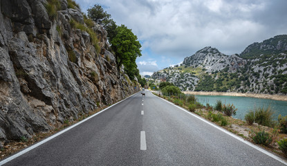 Naklejka premium Wild goat on the highway in the Tramuntana mountains in Mallorca