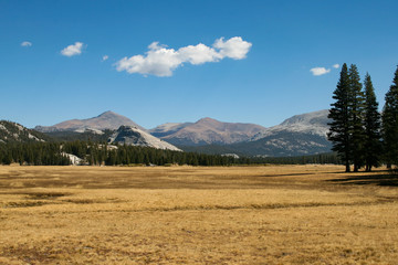 Yosemite Park