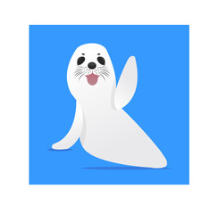 Cute Harp seal