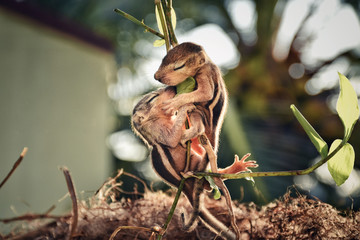 United we stand, divided we fall