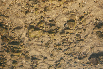 Beautiful seascape with sand and stones in the clear blue sea water