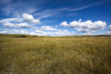 Panorama Wiese