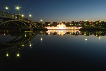 Fototapeta na wymiar park fountain pond bridge night lights reflection moscow