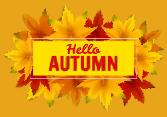 Banner autumn falling leaves template background