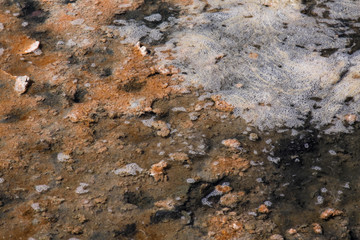 Closeup Salzsee