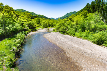 渓流のフライフィッシャーマン